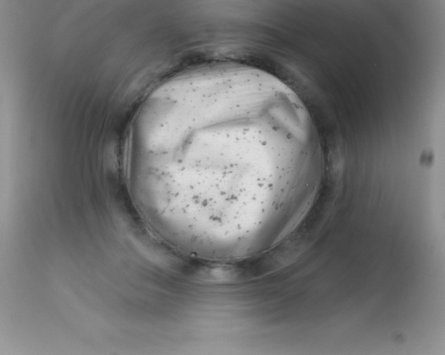 X0000113100506200909182141