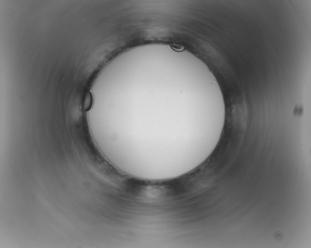 X0000113100508200909182141