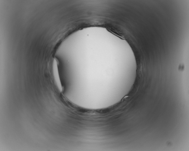 X0000113100512200909182141