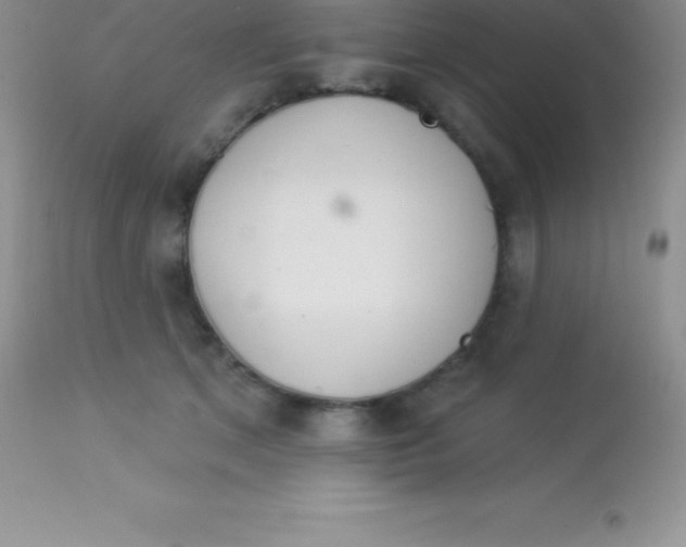 X0000113100513200909182141