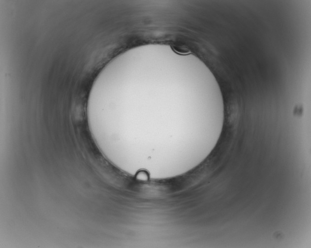 X0000113100515200909182141