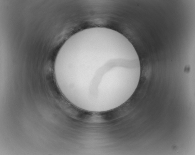 X0000113100518200909182141