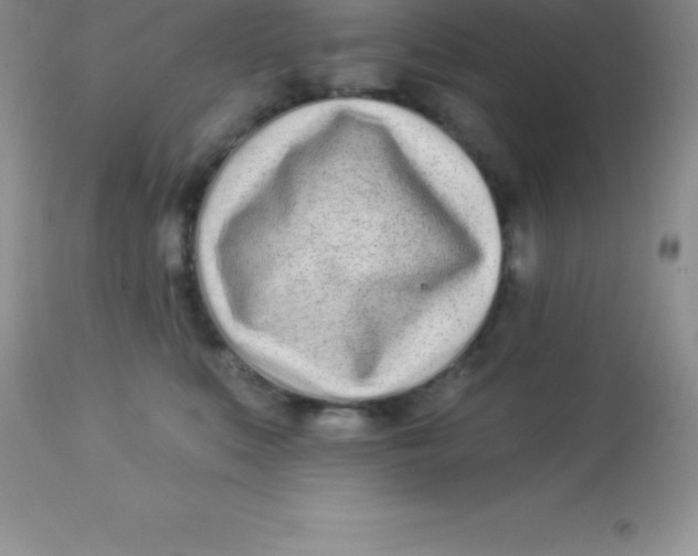 X0000113100519200909182141