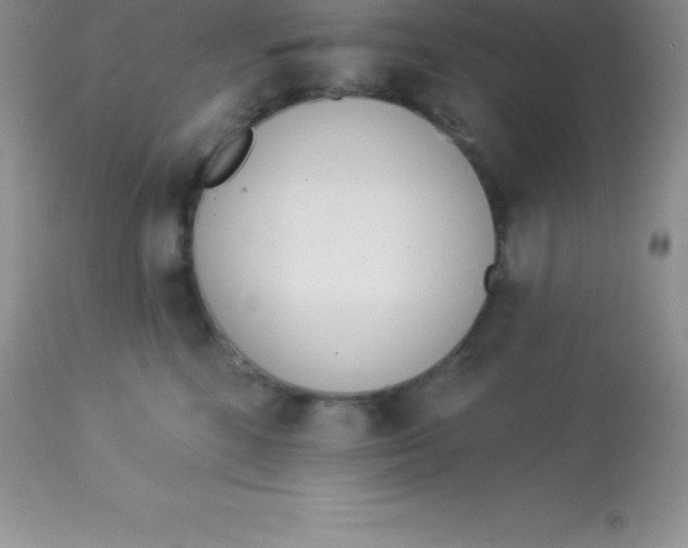 X0000113100520200909182141