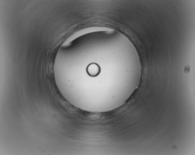 X0000113100521200909182141