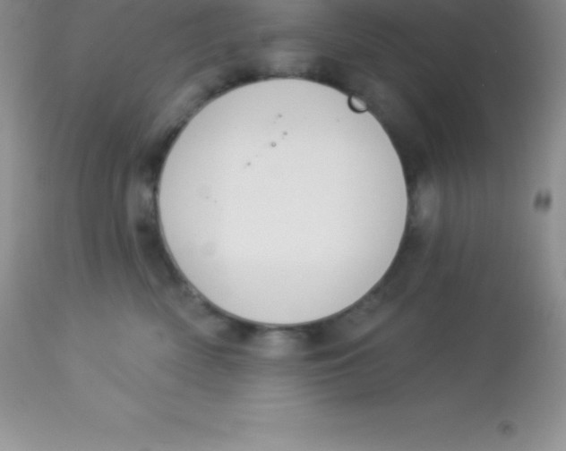 X0000113100522200909182141