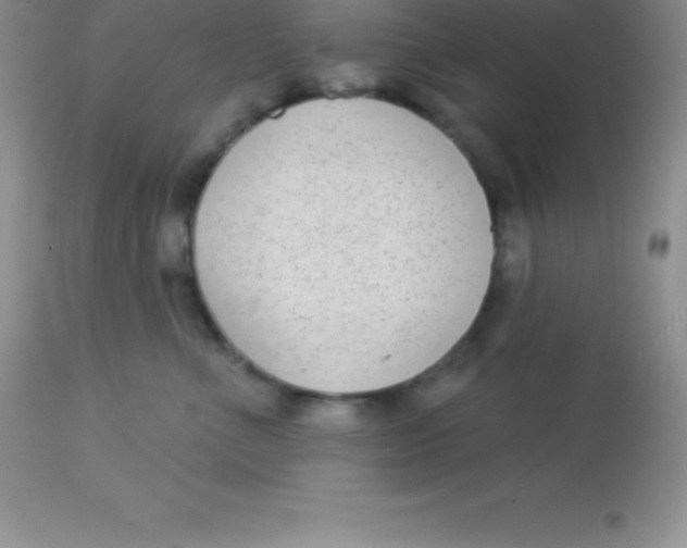 X0000113100523200909182141