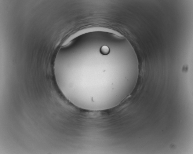 X0000113100524200909182141