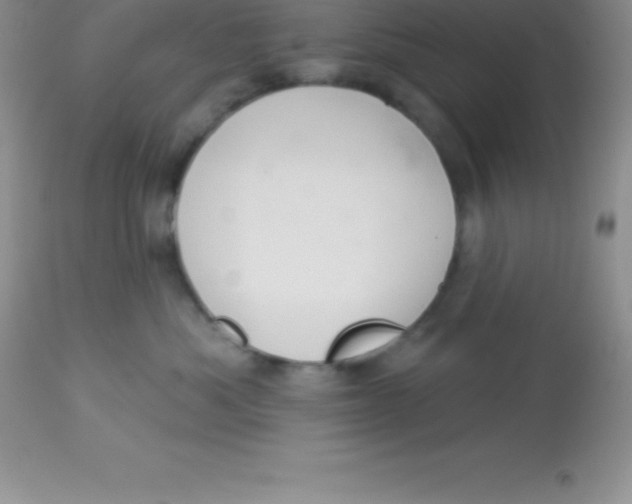 X0000113100525200909182141