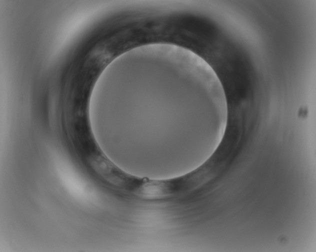 X0000113100526200909182141