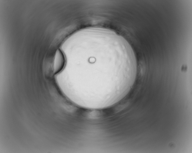 X0000113100527200909182141