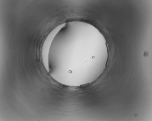 X0000113100528200909182141