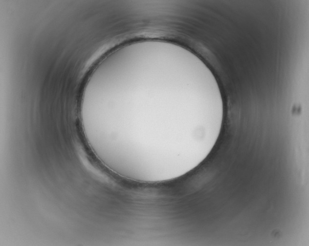 X0000113100530200909182140