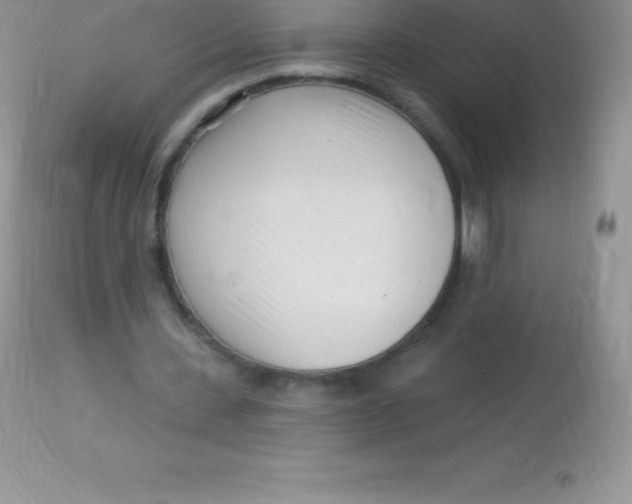 X0000113100531200909182140