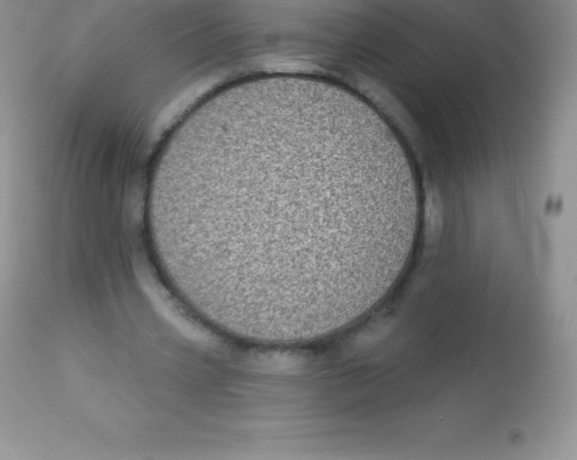 X0000113100533200909182140