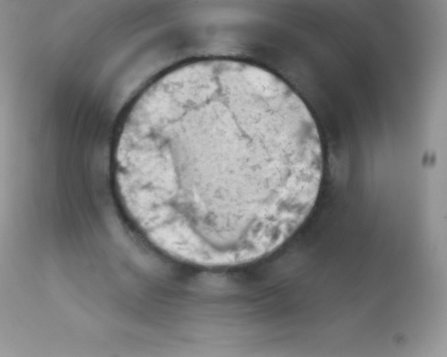 X0000113100534200909182140