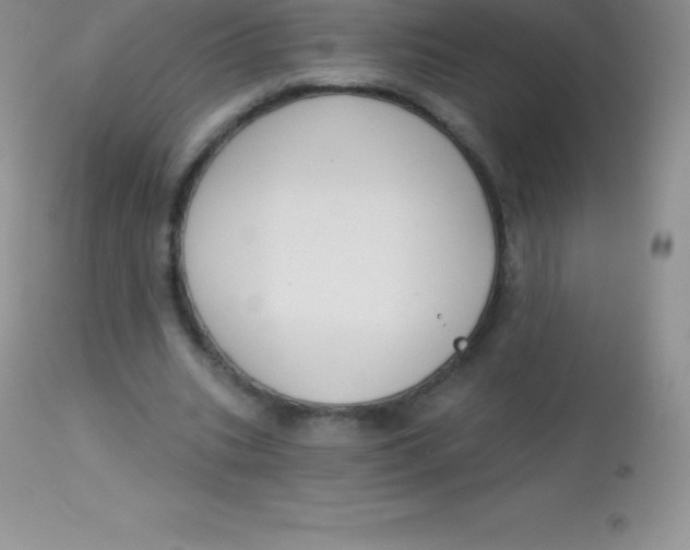 X0000113100535200909182140