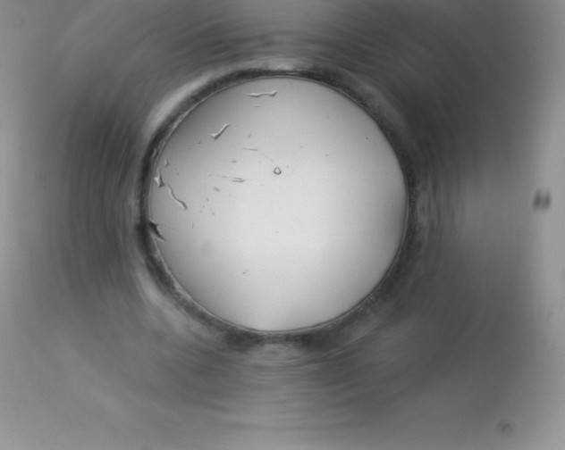 X0000113100536200909182140