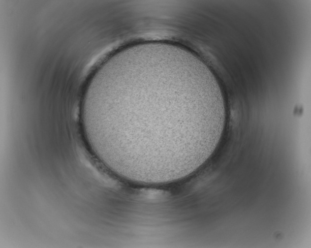X0000113100539200909182140