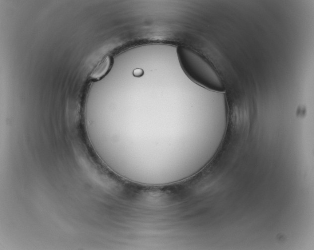 X0000113100540200909182140