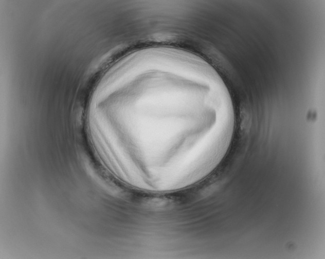 X0000113100542200909182140