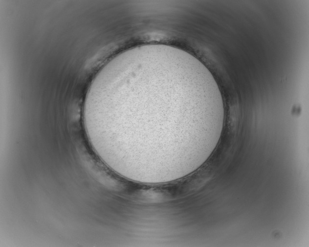 X0000113100545200909182140