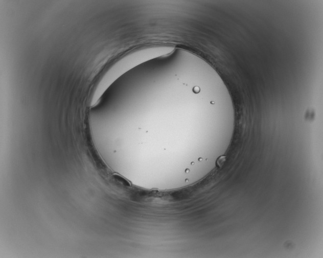 X0000113100548200909182140