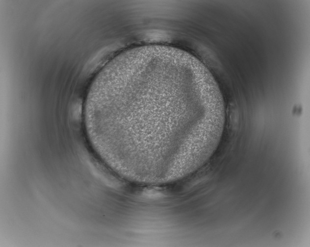 X0000113100550200909182140