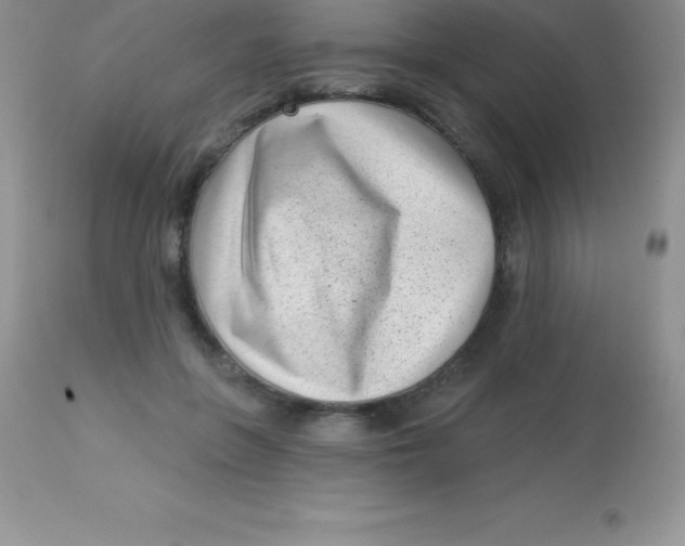 X0000113100551200909182140
