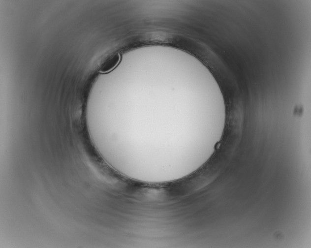 X0000113100552200909182140
