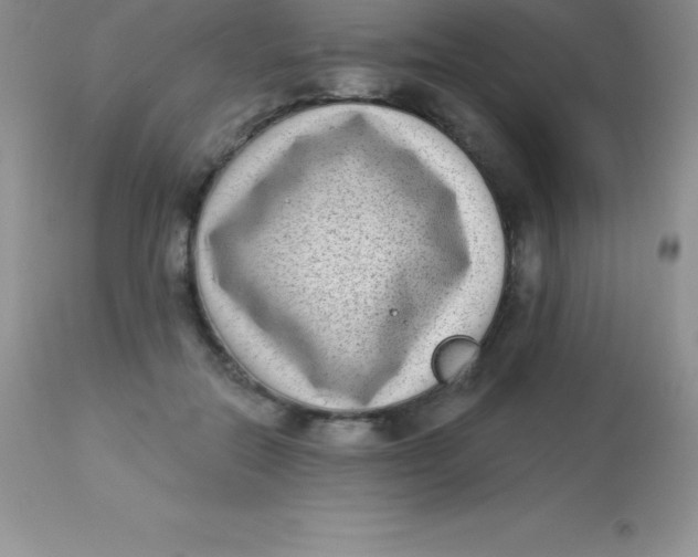 X0000113100554200909182140