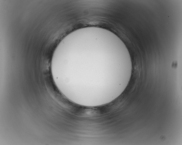 X0000113100555200909182141