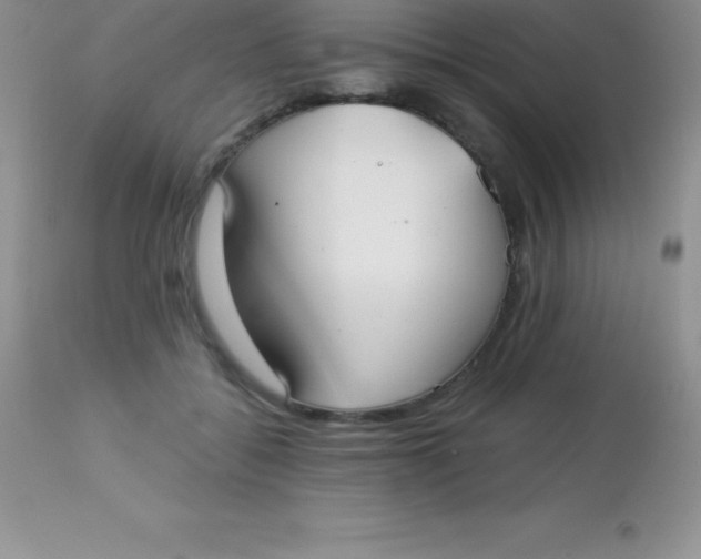 X0000113100556200909182141