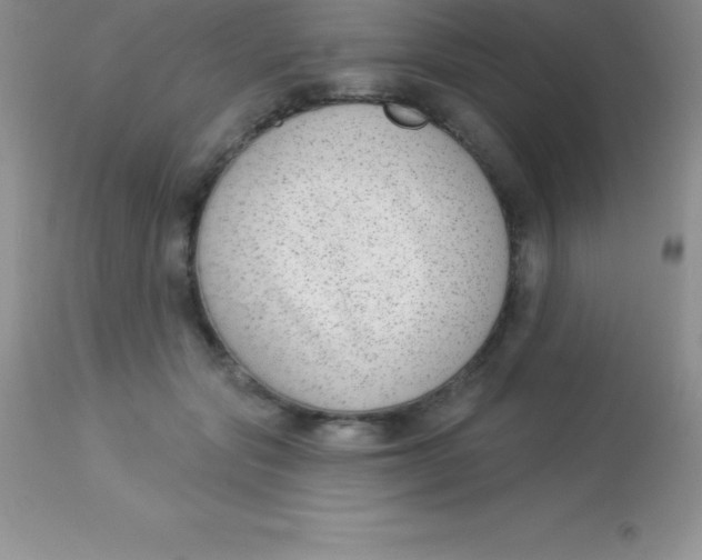 X0000113100557200909182141