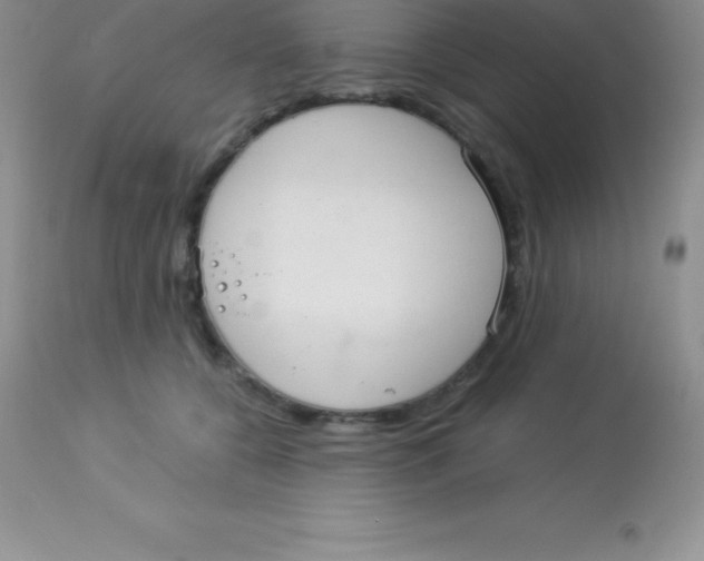 X0000113100560200909182141