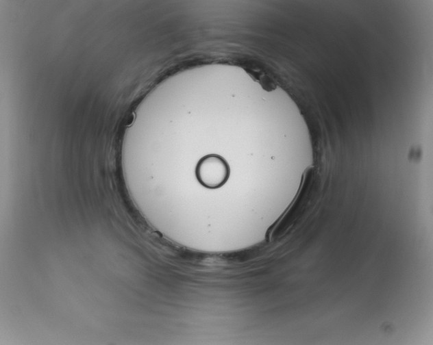 X0000113100562200909182141