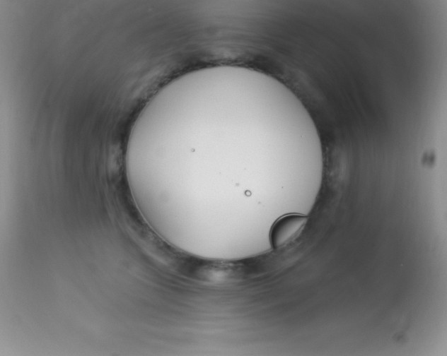 X0000113100563200909182141