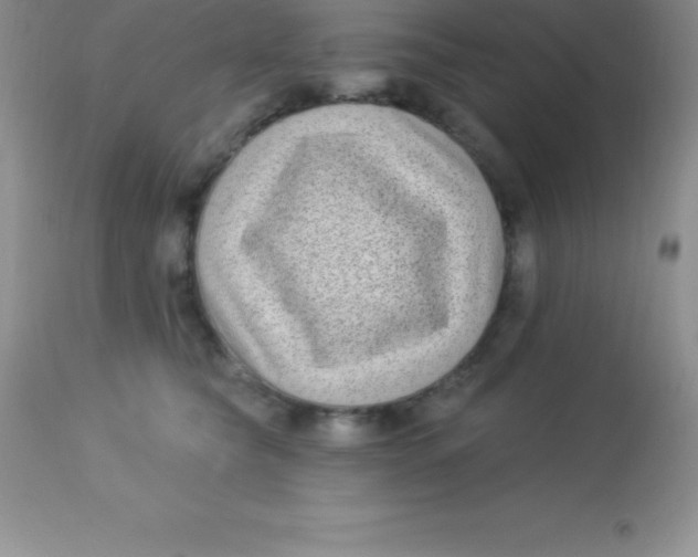 X0000113100565200909182141