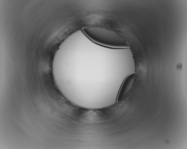 X0000113100566200909182141
