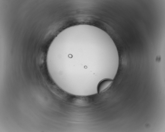 X0000113100567200909182141
