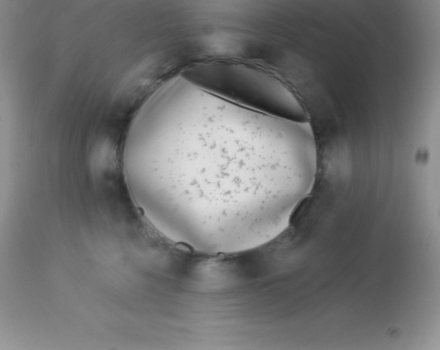 X0000113100568200909182141