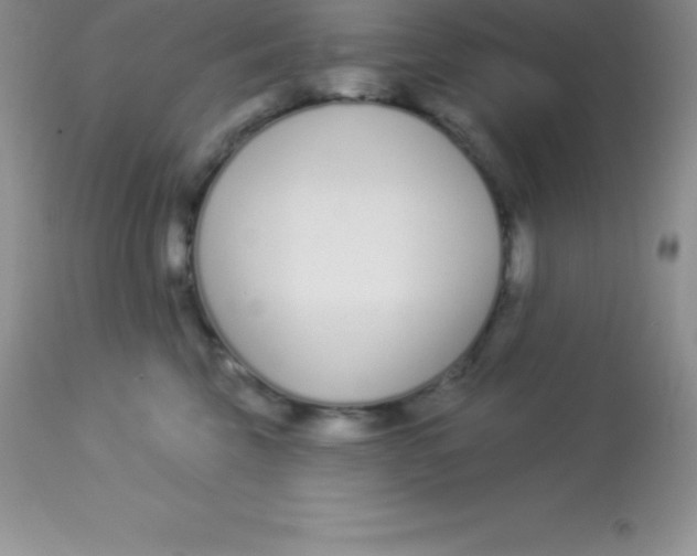 X0000113100569200909182141