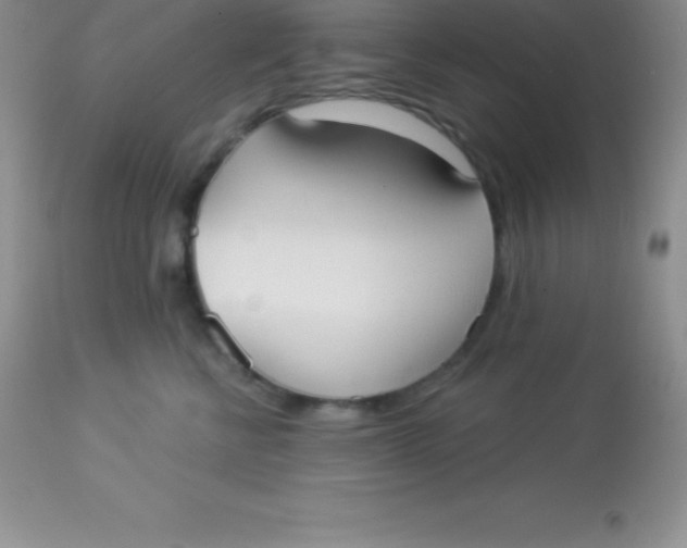 X0000113100570200909182141