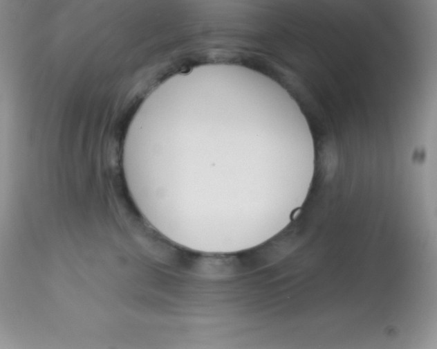 X0000113100571200909182141