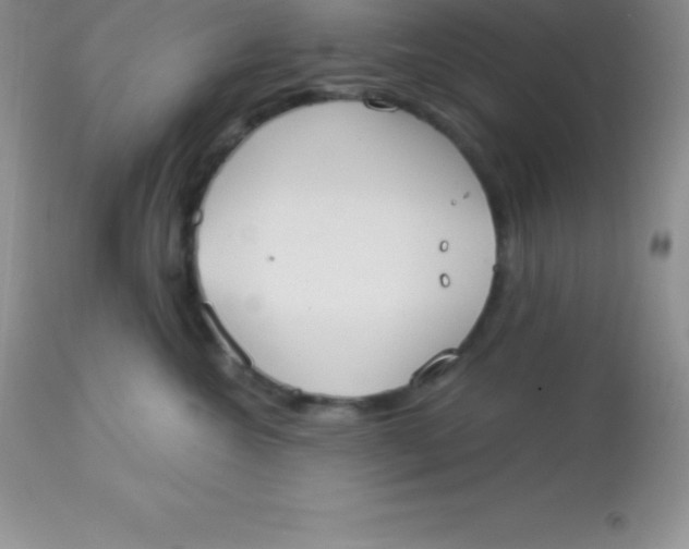 X0000113100572200909182141