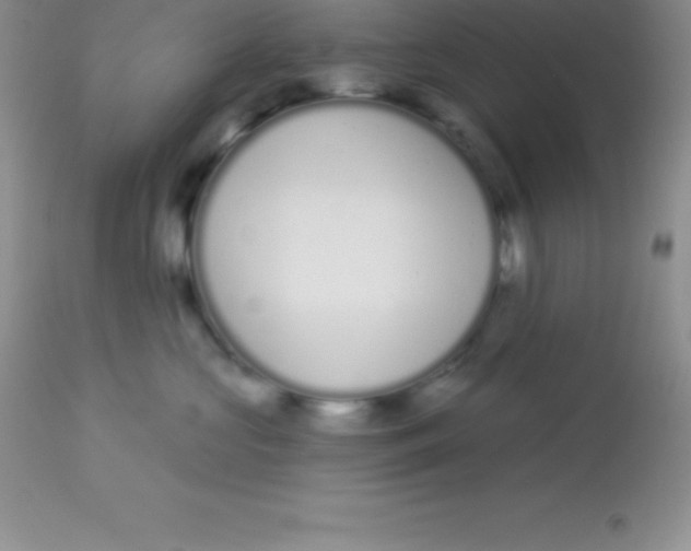 X0000113100573200909182141