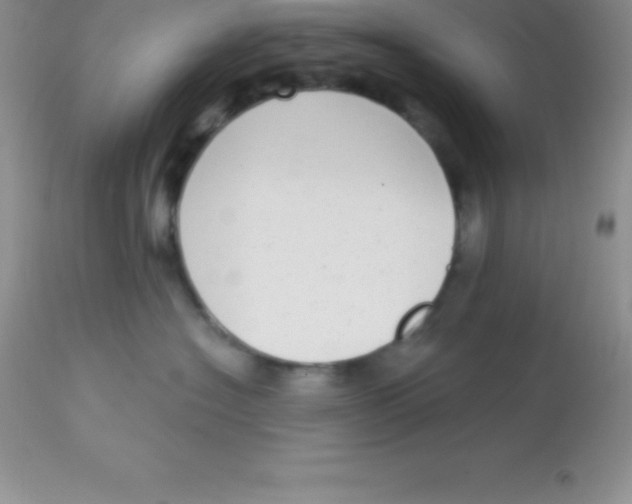 X0000113100574200909182141