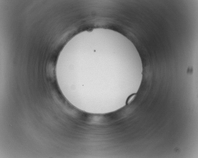 X0000113100575200909182141