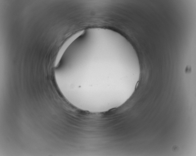 X0000113100576200909182141
