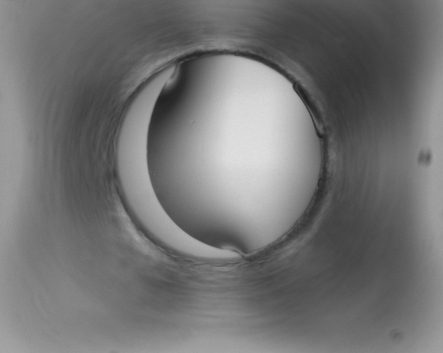 X0000113100577200909182140
